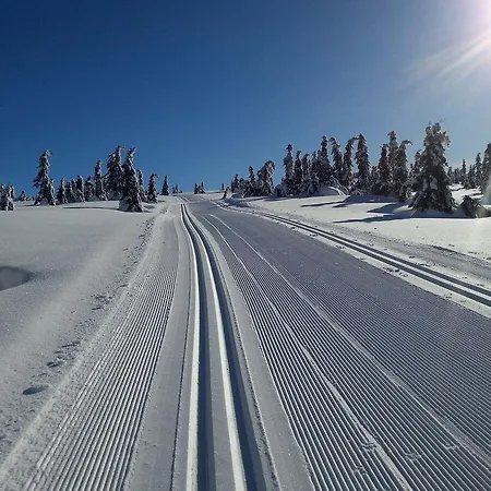 Hytter אכסניה Nordseter