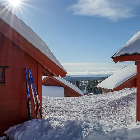 Hytter אכסניה Nordseter