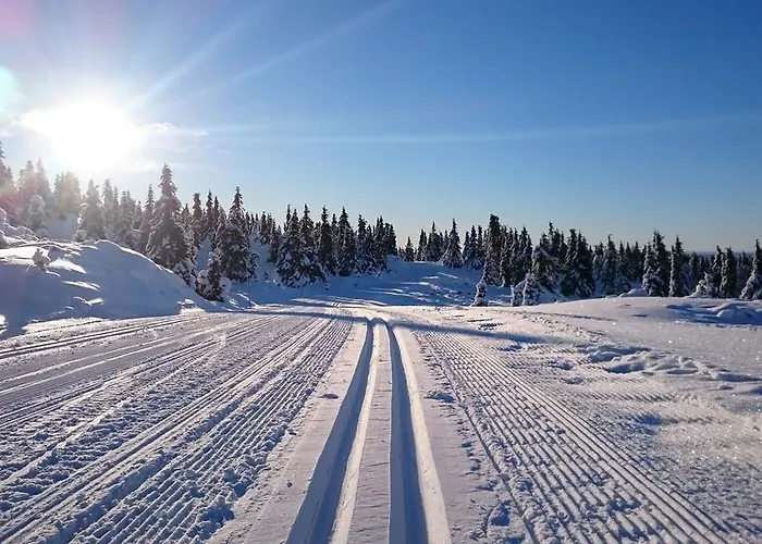 Lodge Hytter Nordseter