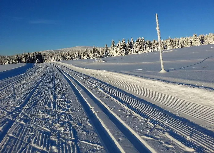Hytter Lodge Nordseter
