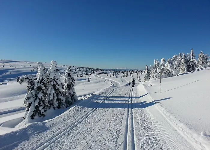 Hytter Lodge Nordseter