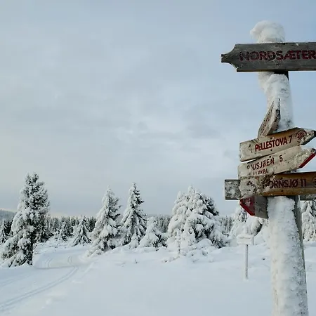 Alojamento de Turismo Selvagem Hytter