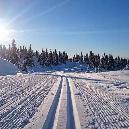 Alojamento de Turismo Selvagem Hytter Nordseter