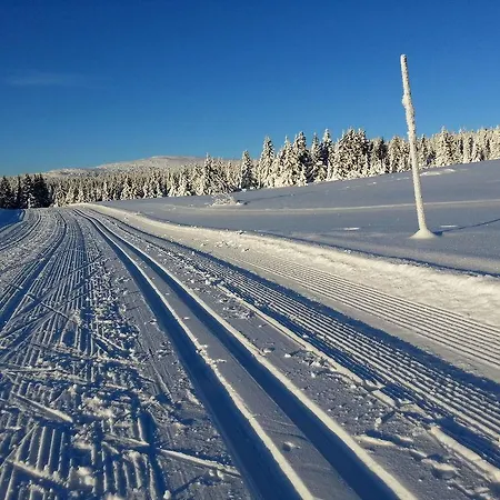 Hytter Alojamento de Turismo Selvagem Nordseter