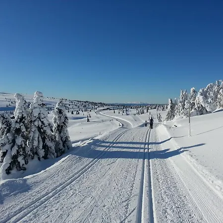 Hytter Alojamento de Turismo Selvagem Nordseter